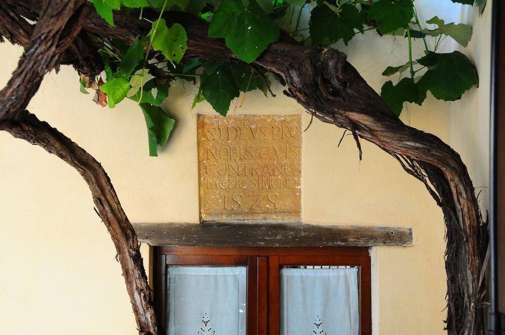 פיינצה B&B Camere La Vite מראה חיצוני תמונה