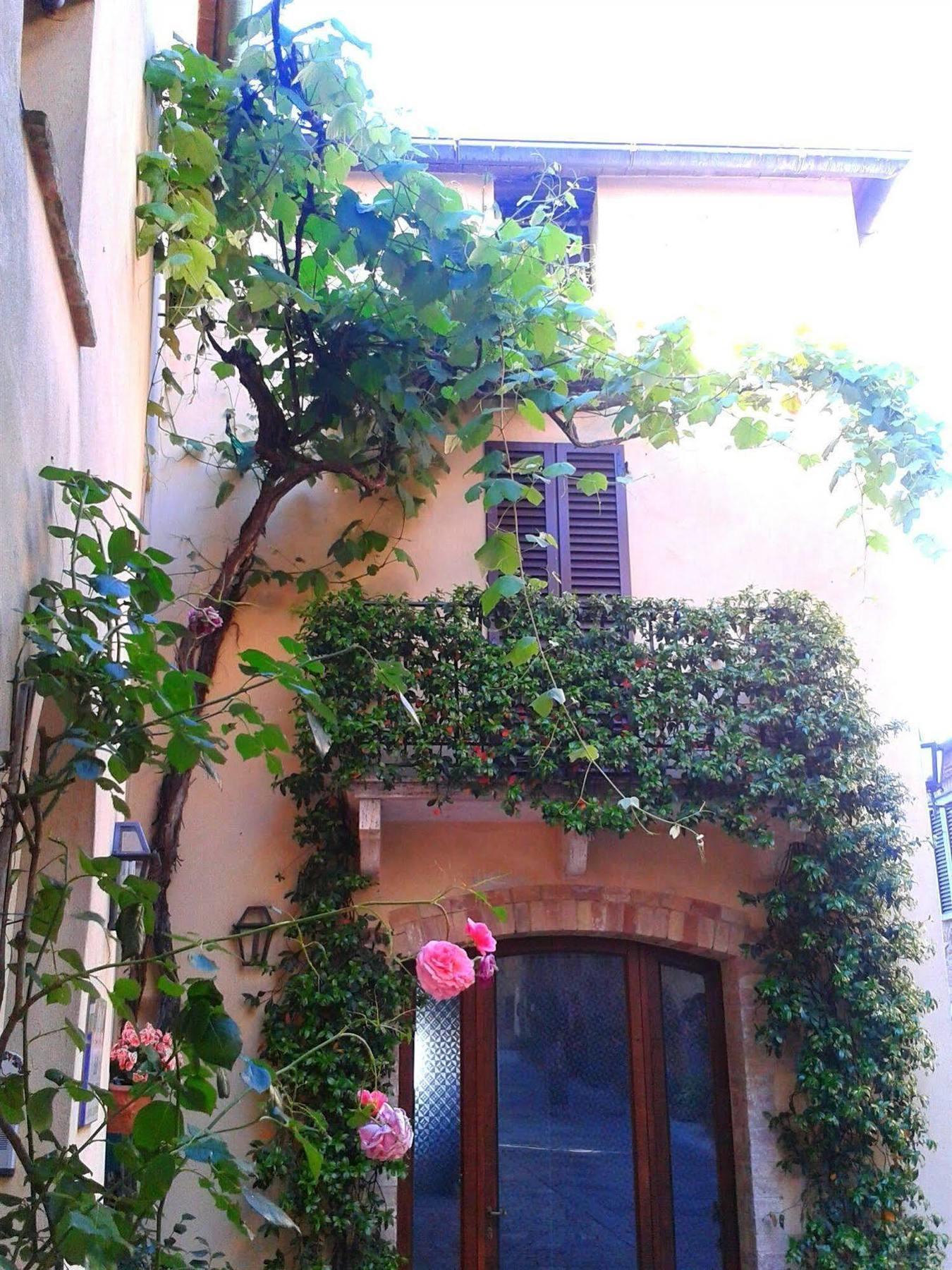 פיינצה B&B Camere La Vite מראה חיצוני תמונה